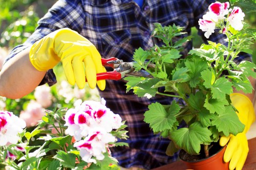 Gardener preparing tools in a residential garden