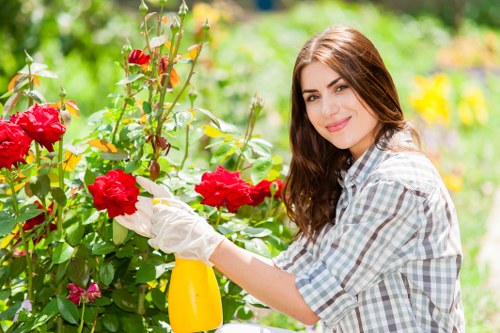 Professional gardener designing a landscaped outdoor space