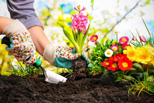 Deck maintenance services including cleaning and sealing