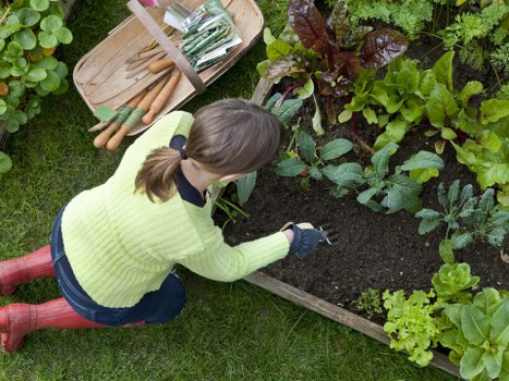 Garden clearance and landscape gardening section