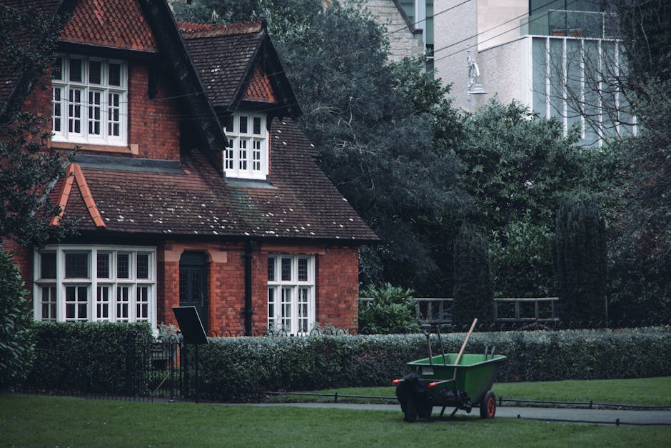 A detailed close-up of a garden scene showing a well-maintained lawn with freshly cut grass bordered by a flower bed filled with vibrant, healthy plants. In the background, neatly trimmed hedges and s