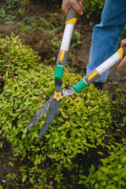 A gardener wearing protective gear, including a orange helmet with safety visor and goggles, green gloves, and a black t-shirt with the Siemens logo, is using a chainsaw to cut through a branch or sma